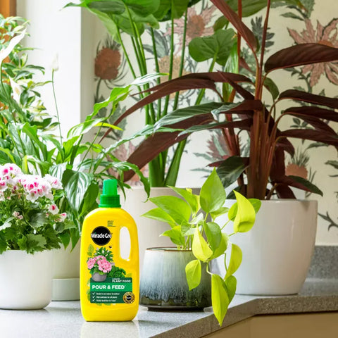 Miracle-Gro Pour & Feed Ready-to-Use Liquid Plant Food 1l