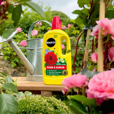 Miracle Gro Rose & Shrub liquid food 800ml