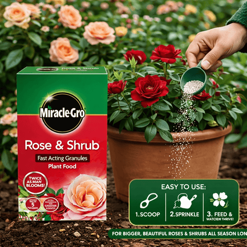 Miracle Gro Rose Feed Miracle Gro Rose & Shrub Slow Release Plant Food 3kg