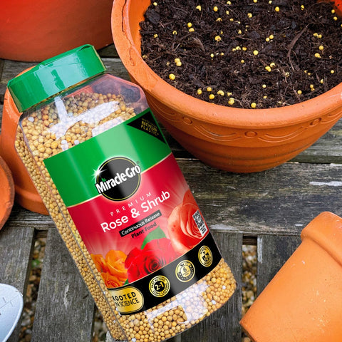 Miracle Gro Rose Feed Miracle Gro Rose & Shrub Slow Release Plant Food 900g
