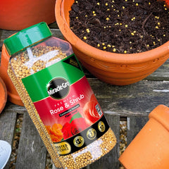 Miracle Gro Rose Feed Miracle Gro Rose & Shrub Slow Release Plant Food 900g