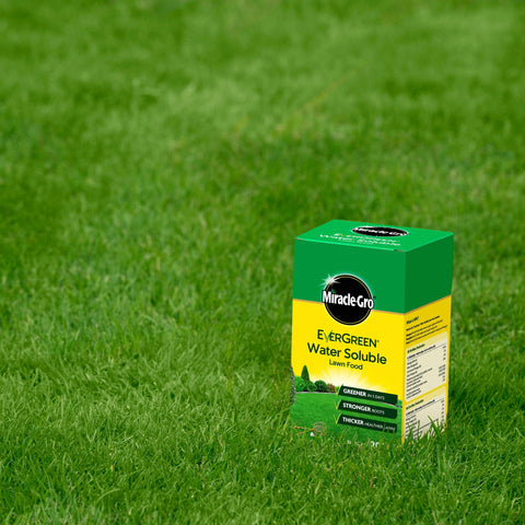 Miracle Gro Lawn Feed Miracle-Gro Water Soluble Lawn Food 200sqm