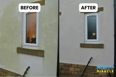 Monty Magic Garden Cleaning Monty Miracle Patio Cleaner 5L