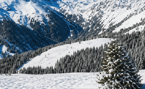 My Village Backdrops My Village Cloth Winter Sport Background Cloth 150x75cm