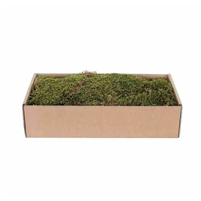 My Village Decorations Landscaping My Village Flat Moss Dried Green Brown 500g