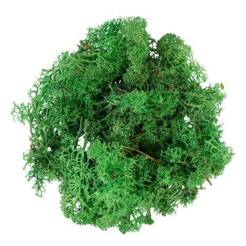 My Village Scenic Accessory My Village Reindeer Moss Green 500g