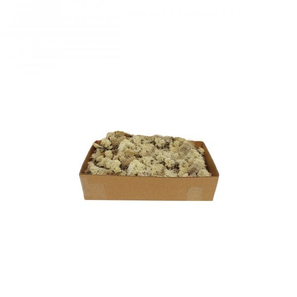 My Village My Village Reindeer Moss Natural 500g