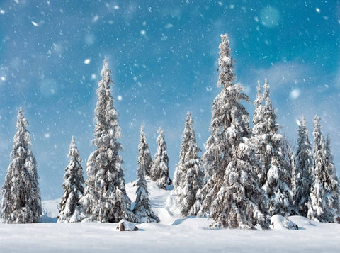 My Village Background My Village Snowy Pine Trees Background Cloth