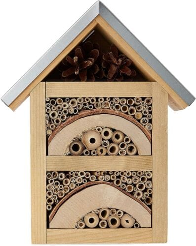 Nature's Feast Home Insect House