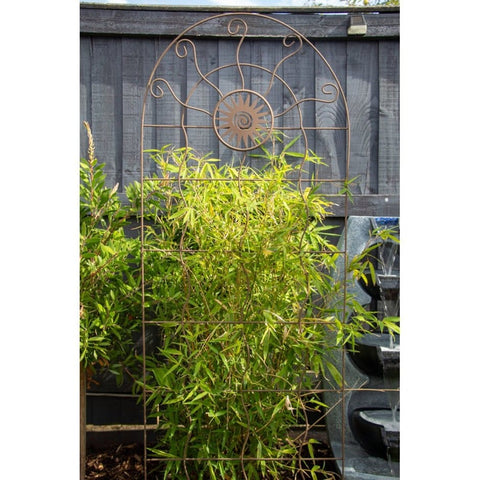 Panacea Topiary Trellis Panacea 1.8m Aztec Sun Trellis Rust