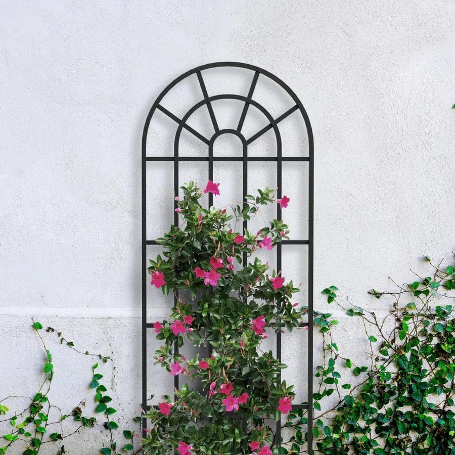 Panacea Trellis Metal Panacea 1.8m Window Pane Trellis