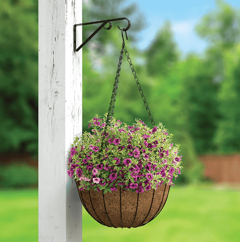 Panacea 14" Hanging Basket with Bracket