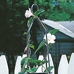 Panacea Obelisks Panacea 91cm Garden Obelisk Cameo Brown