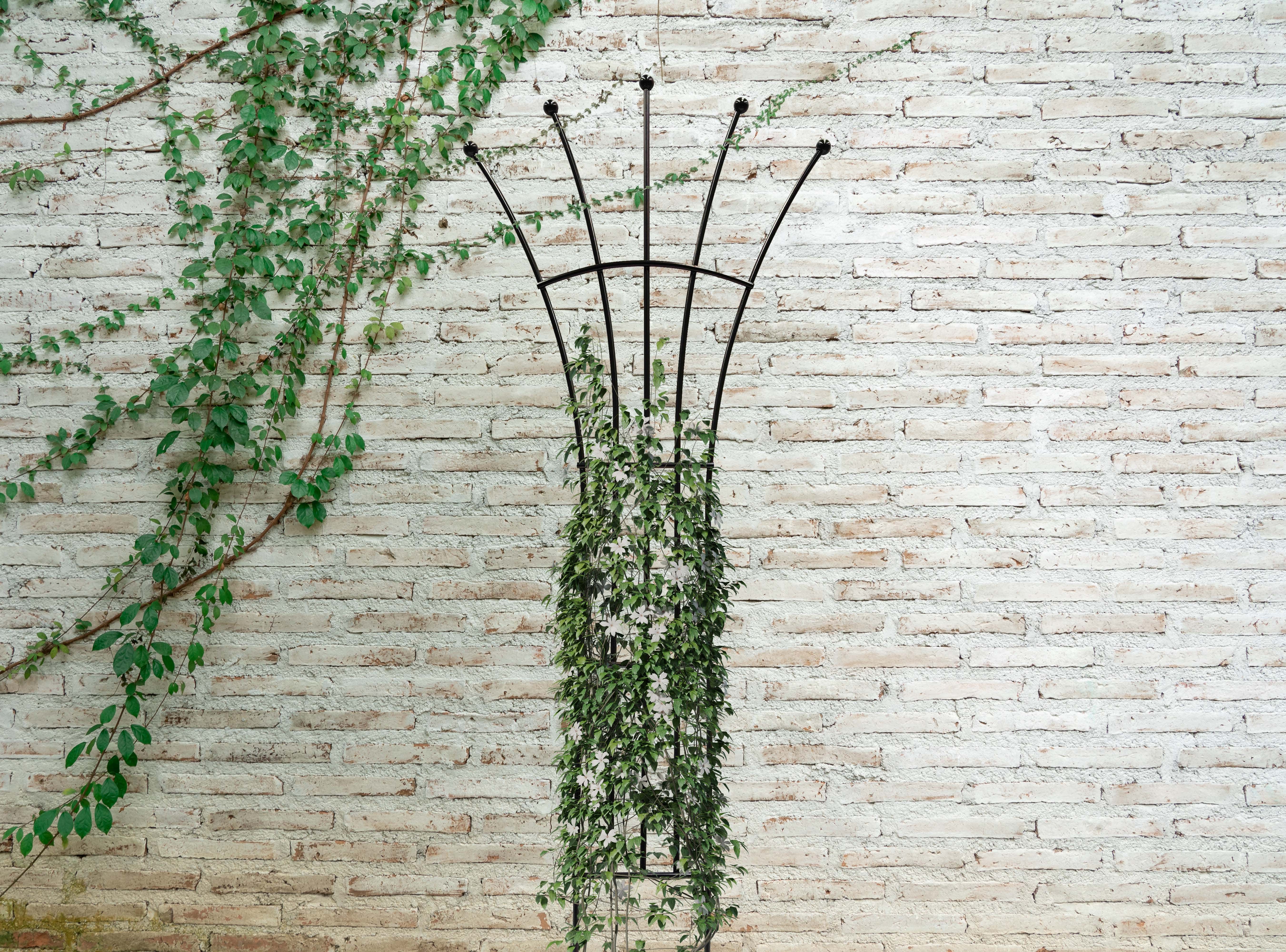 Panacea Trellis Metal Panacea Ball Fan Trellis
