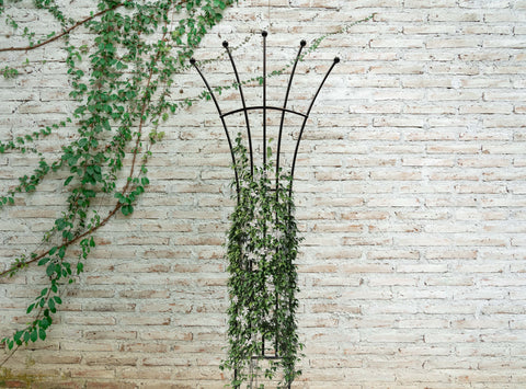 Panacea Trellis Metal Panacea Ball Fan Trellis