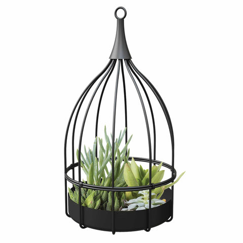 Panacea Pots & Planters Panacea Bird Cage Succulent Planter