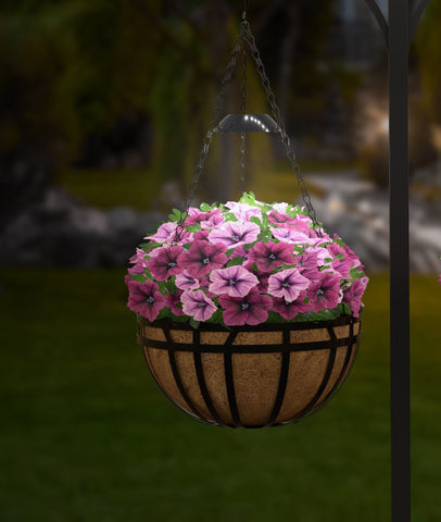 Panacea Hanging Baskets Panacea Canyon Collection Hanging Basket 14" With Solar Light Matte Black