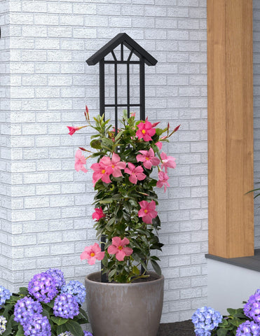 Panacea Trellis Metal Panacea Canyon Collection Pot Trellis Solar Lights