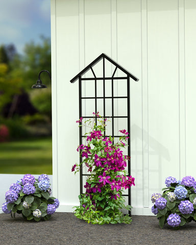 Panacea Trellis Metal Panacea Canyon Collection Trellis with Solar Lights, Matte Black