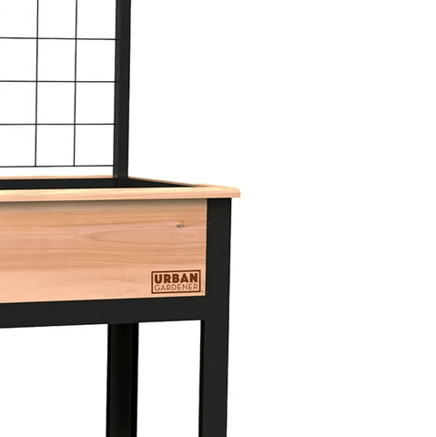 Panacea Planters & Pots Panacea Cedar Elevated Garden Planter with Trellis