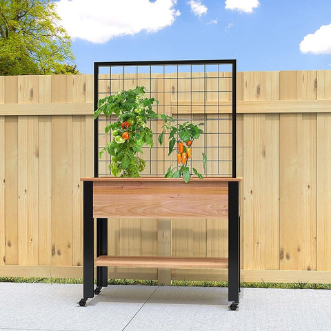 Panacea Planters & Pots Panacea Cedar Elevated Garden Planter with Trellis