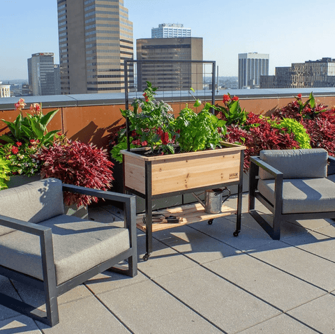 Panacea Planters & Pots Panacea Cedar Elevated Garden Planter with Trellis