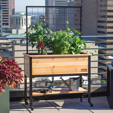 Panacea Planters & Pots Panacea Cedar Elevated Garden Planter with Trellis