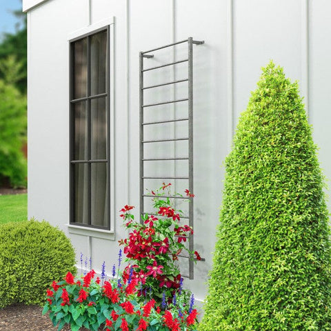 Panacea Topiary Trellis Panacea Contemporary Ladder Trellis