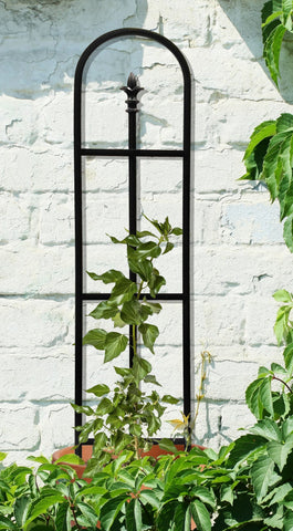 Panacea Trellis Metal Panacea French Arch Pot Trellis With Finial Black