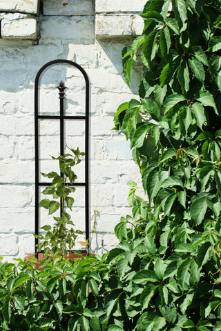 Panacea Trellis Metal Panacea French Arch Pot Trellis With Finial Black