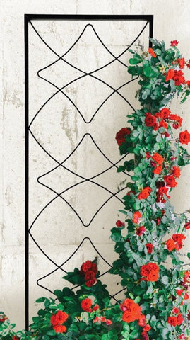 Panacea Topiary Trellis Panacea Graceful Trellis Black 72"
