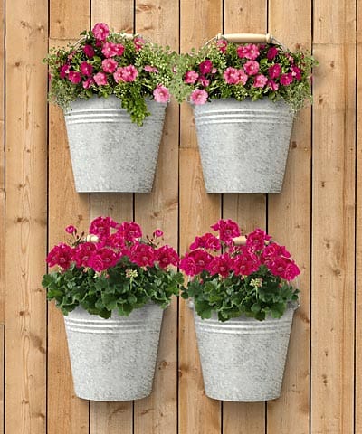 Panacea Planters & Pots Panacea Half Bucket Galvanised Planter