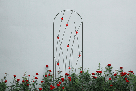 Panacea Planters & Pots Panacea Ladybird Trellis 72"