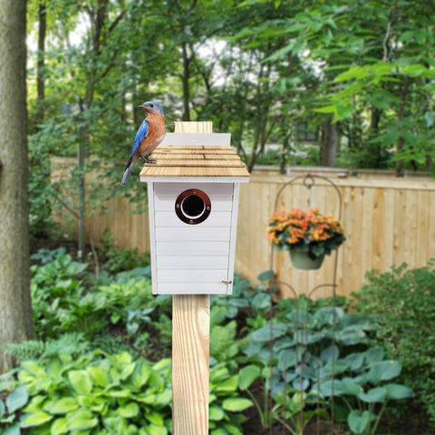 Panacea Nest Boxes Panacea Lake & Cabin Woodland Series Colourful Bluebird Houses - Assorted Colours