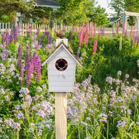 Panacea Nest Boxes Panacea Lake & Cabin Woodland Series Colourful Wren Houses - Assorted Colours