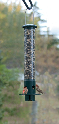 Panacea Bird Feeders Panacea Mini Magnet Squirrel Resistant Feeder