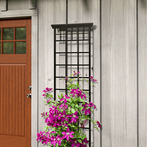 Panacea Topiary Trellis Panacea Mission Trellis 78"