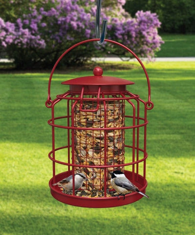 Panacea Bird Feeders Panacea Squirrel Resistant Colourful Bird Feeder - Cranberry