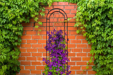 Panacea Trellis Metal Panacea Twist Wire Trellis