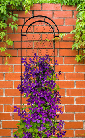 Panacea Trellis Metal Panacea Twist Wire Trellis
