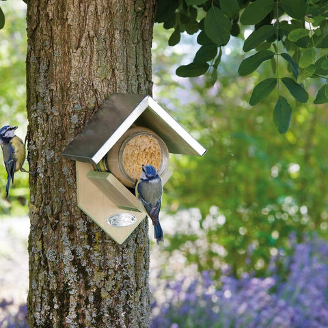 Peanut Butter Jars For Birds