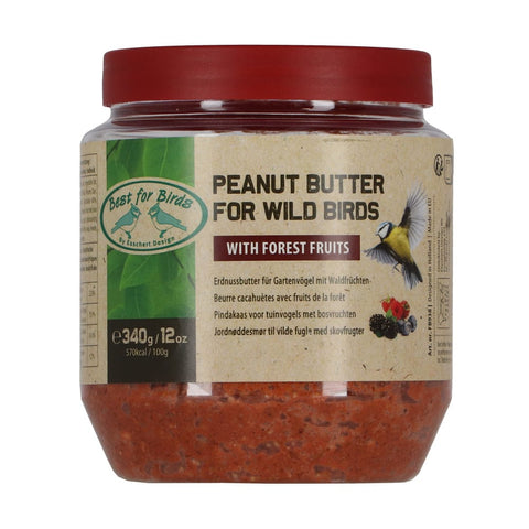 Peanut Butter Jars For Birds