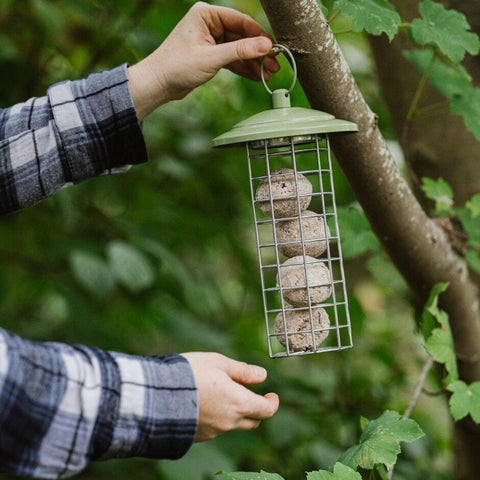 Peckish Fat Balls & Suet Feeders Peckish Canto Energy Ball Feeder