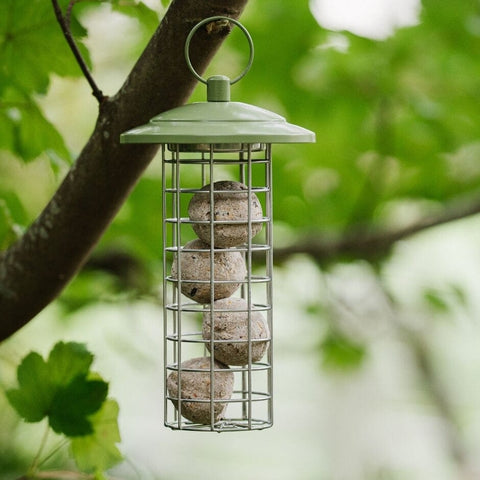 Peckish Fat Balls & Suet Feeders Peckish Canto Energy Ball Feeder