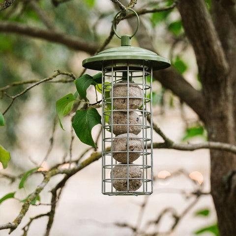 Peckish Fat Balls & Suet Feeders Peckish Canto Energy Ball Feeder