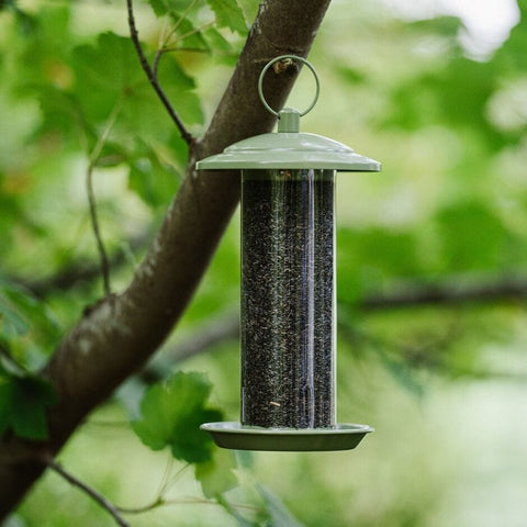 Peckish Nyjer Feeders Peckish Canto Nyjer Seed Feeder