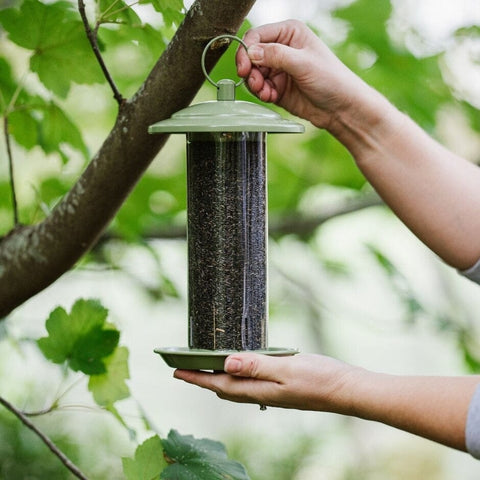 Peckish Nyjer Feeders Peckish Canto Nyjer Seed Feeder