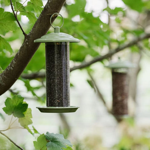 Peckish Nyjer Feeders Peckish Canto Nyjer Seed Feeder