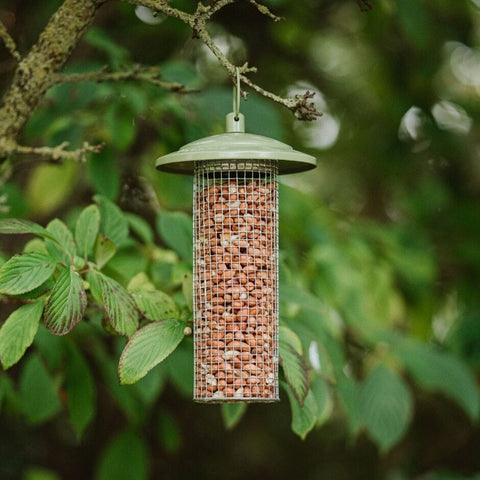 Peckish Peanut Feeders Peckish Canto Peanut Feeder