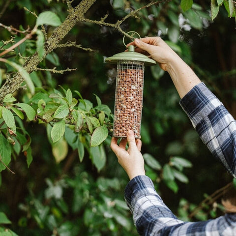 Peckish Peanut Feeders Peckish Canto Peanut Feeder